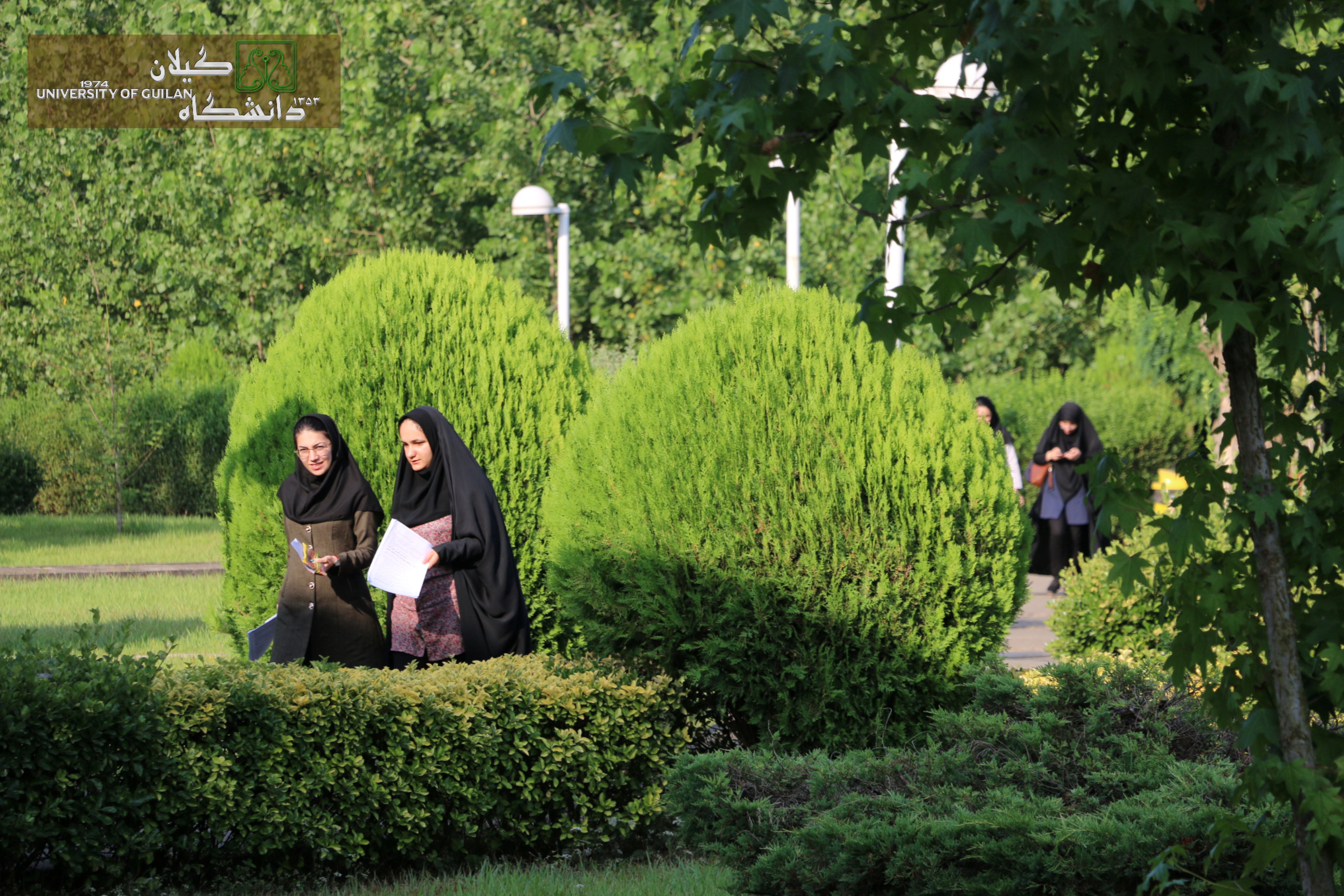 تصویر کوچک