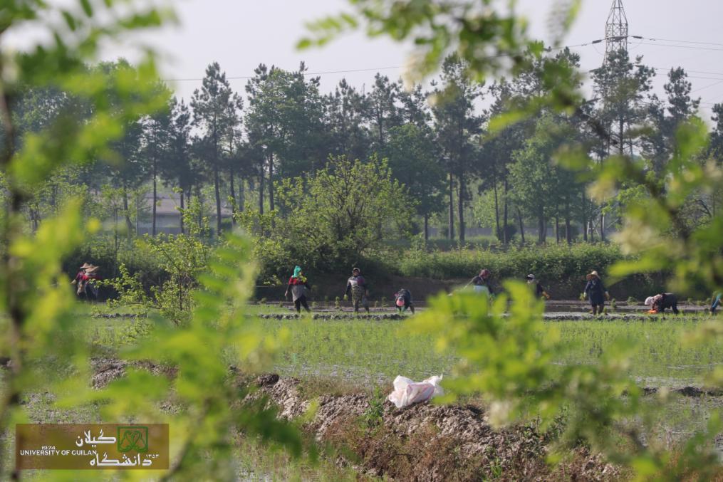 تصویر کوچک