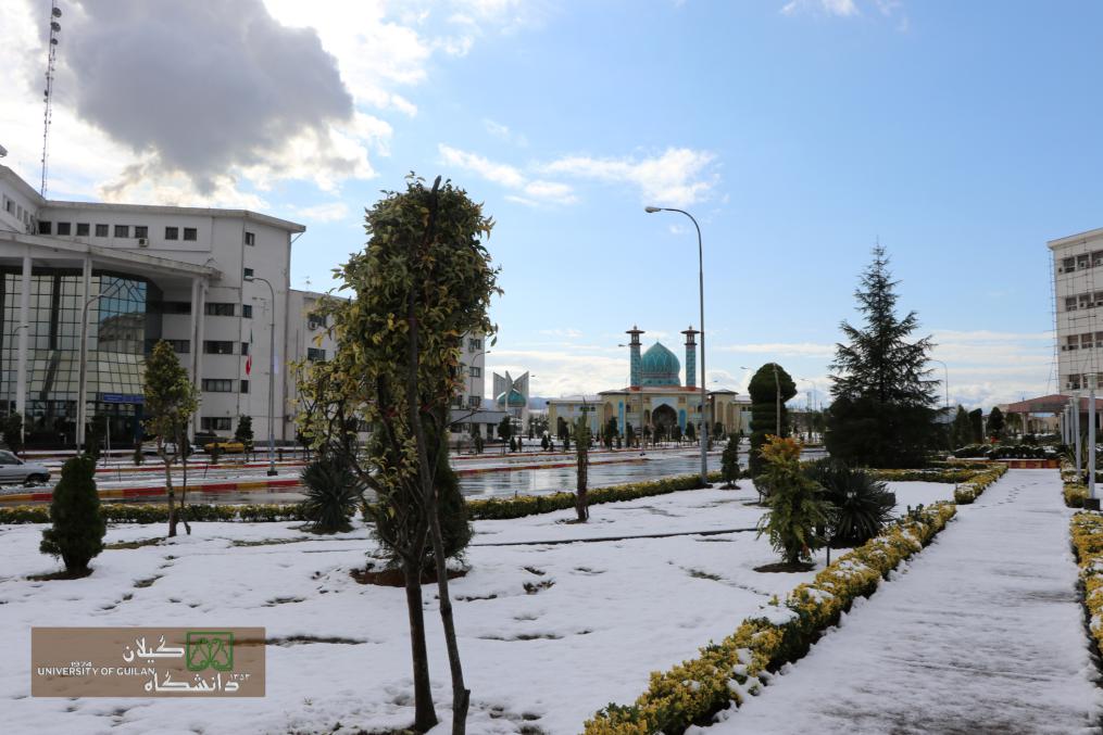 تصویر کوچک